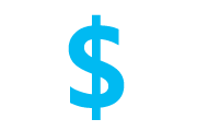 $ icon